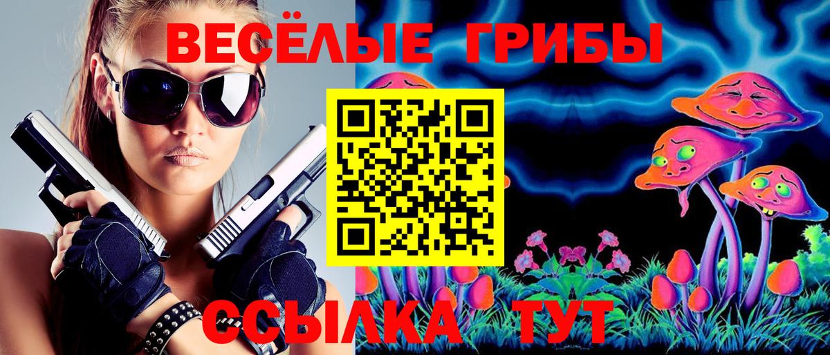 Псилоцибиновые грибы MAGIC MUSHROOMS  Галлюциногенные грибы MAGIC MUSHROOMS  Вход с VPN  Гусь-Хрустальный 